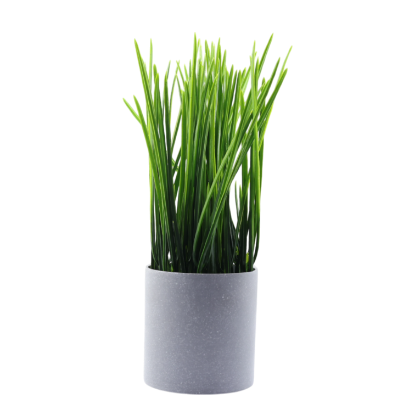 Изображение HOME DESIGN цветок в горшке K012
