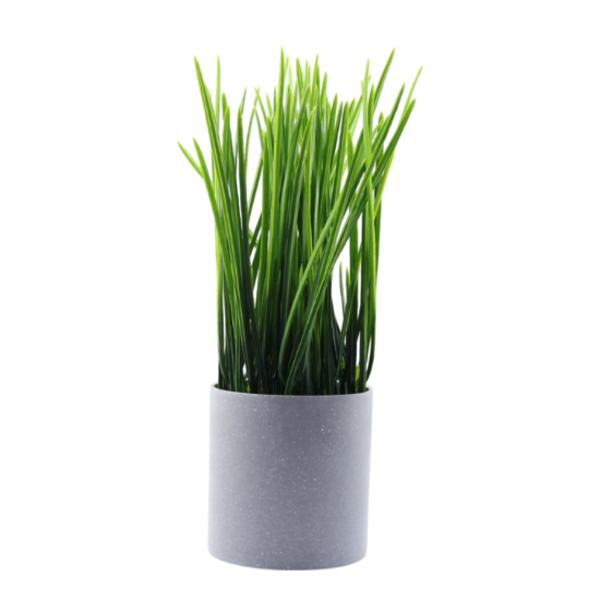 Изображение HOME DESIGN цветок в горшке K012