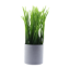 Изображение HOME DESIGN цветок в горшке K012