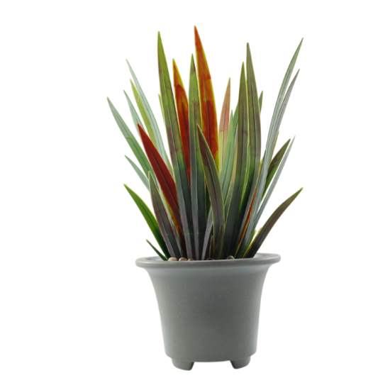 Изображение HOME DESIGN цветок в горшке ZL-2009