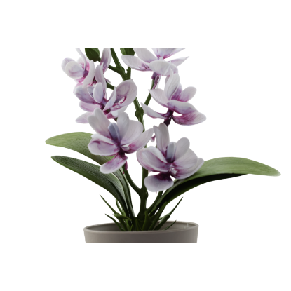 Изображение HOME DESIGN Цветок в горшке 5679