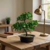 Изображение HOME DESIGN цветок в горшке CY211010