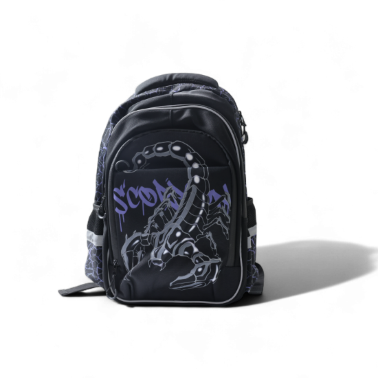 Изображение Ранец школьный Феникс+ СКОРПИОН 64152