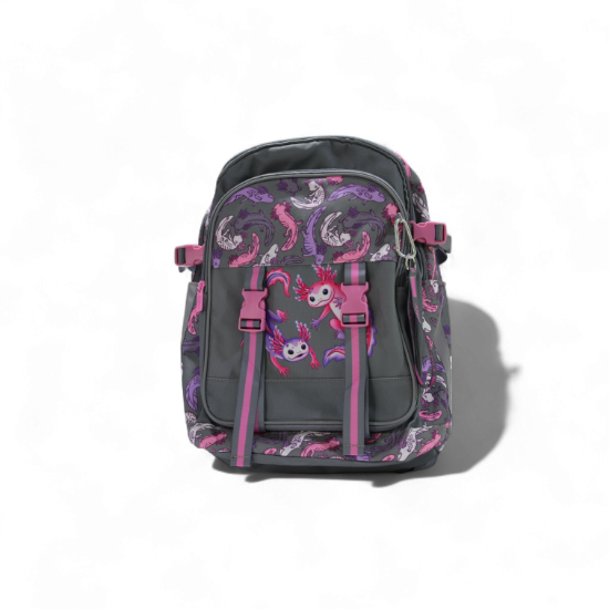 Изображение Ранец школьный Феникс+ ПАРОЧКА АКСОЛОТЛЕЙ 64833