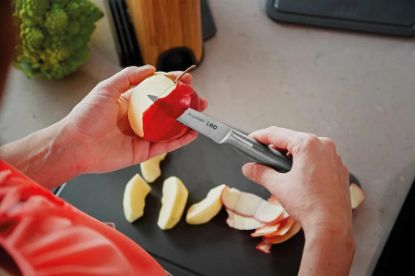 Изображение BERGHOFF нож для овощей LEGACY 9см 3950366