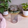 Изображение GLASS VASE Ваза 11-15 ZYY247