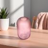 Изображение GLASE VASE 11-296 1321