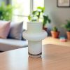 Изображение GLASS VASE 11-300 22