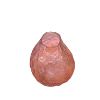 Изображение GLASS VASE JZ2530